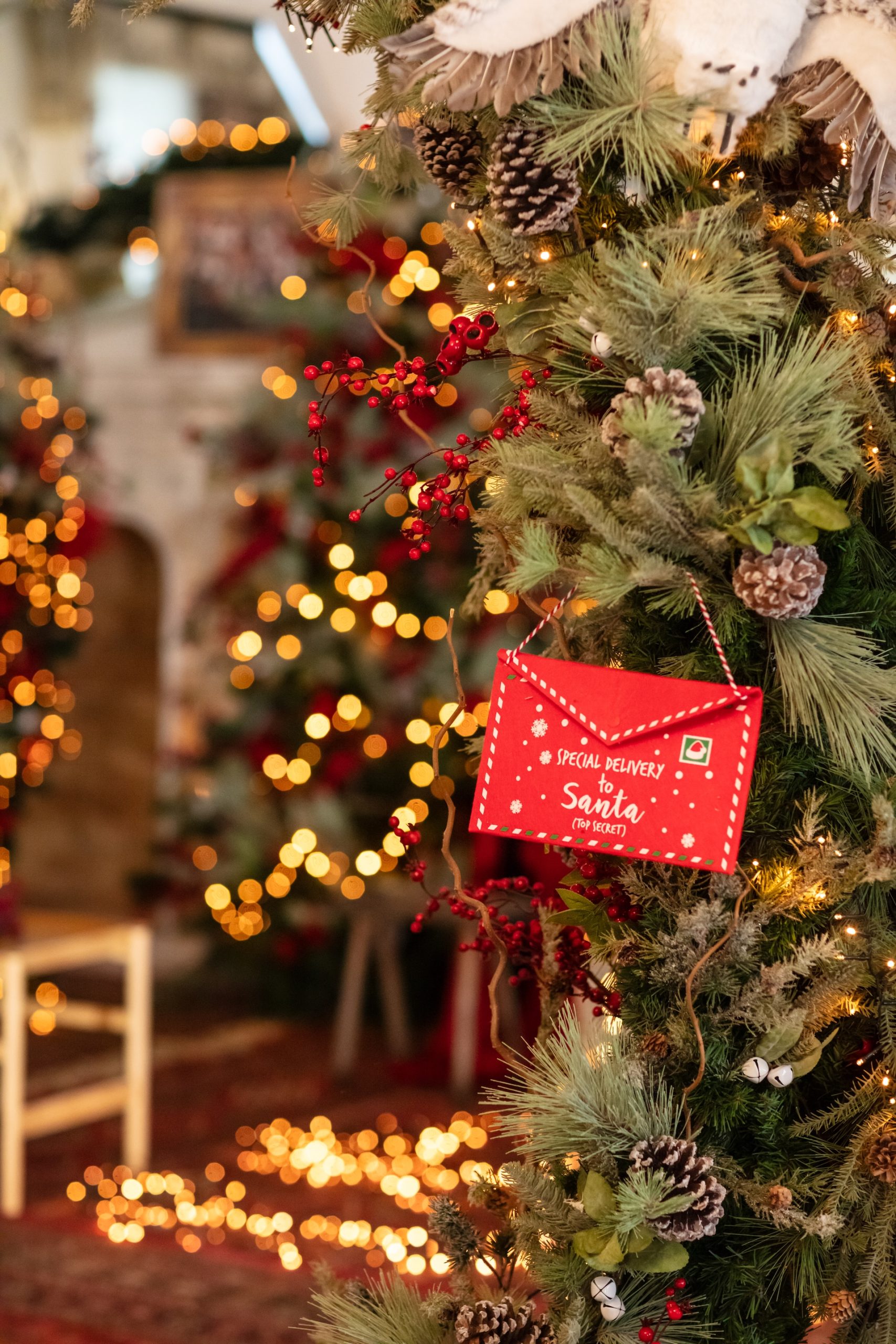 IMG_9988 - Le Til Kúria